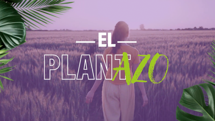 Planazo